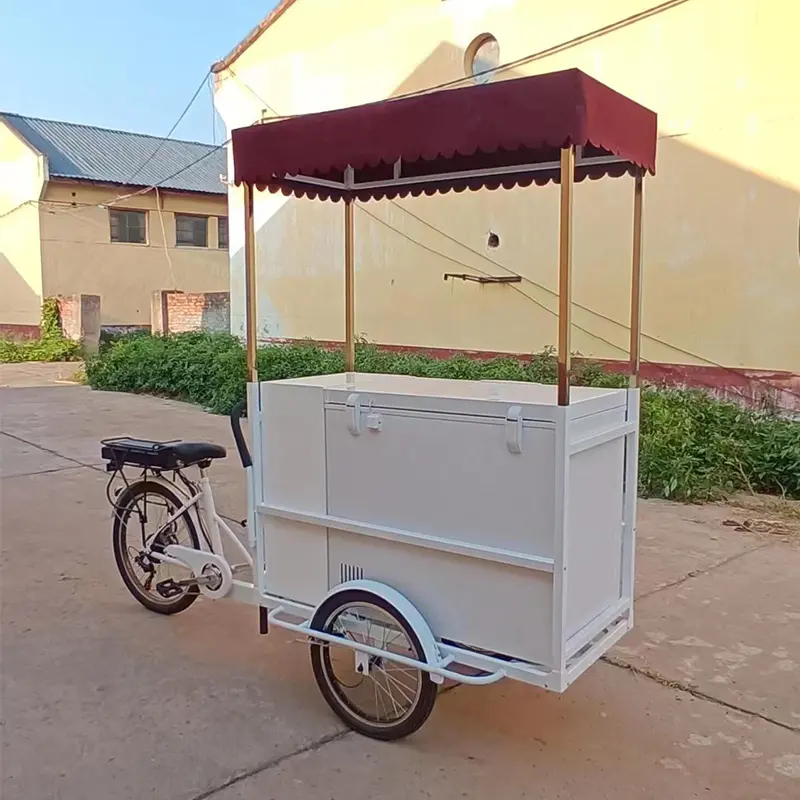 Klasikinis pedalo ledų vežimėlio dviratis